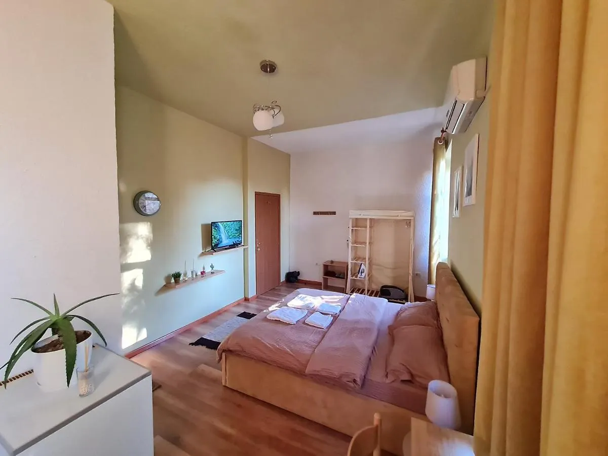 Ex-Block District Charming Studio Apartment With Treeish Sorrounding View! Tirana Albania